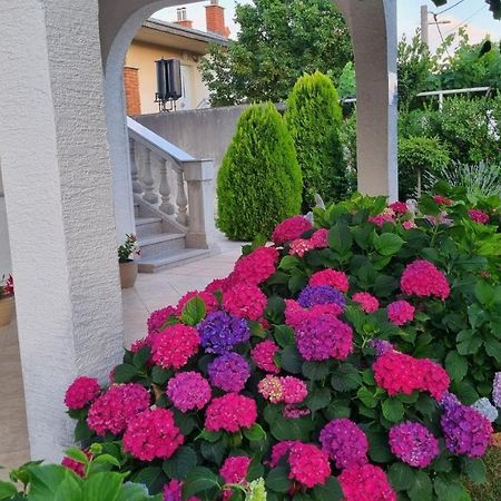 Apartment Nina Новий Винодольський Екстер'єр фото