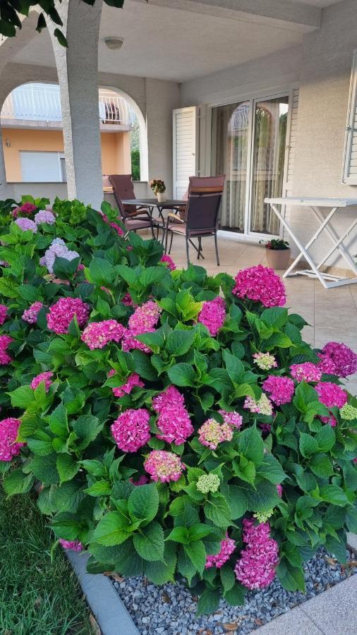 Apartment Nina Новий Винодольський Екстер'єр фото