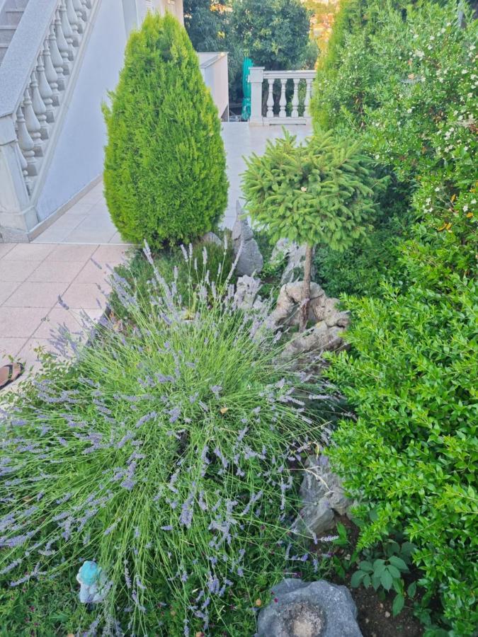Apartment Nina Новий Винодольський Екстер'єр фото
